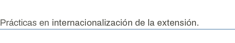 Prácticas en internacionalización de la extensión 