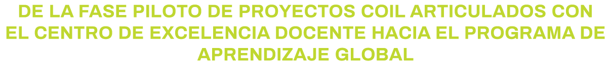 De la fase piloto de proyectos COIL articulados con el centro de excelencia docente hacia el Programa de Aprendizaje    