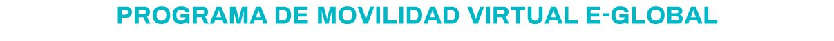 Programa de movilidad virtual e-Global