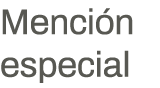 Mención especial