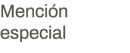 Mención especial