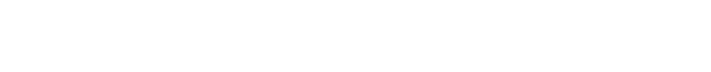 INTRODUCCIÓN 