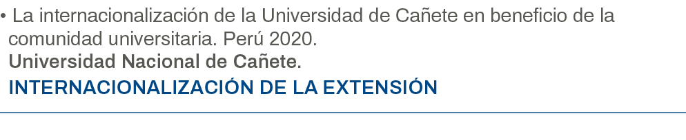   La internacionalización de la Universidad de Cañete en beneficio de la comunidad universitaria  Perú 2020  Universi   